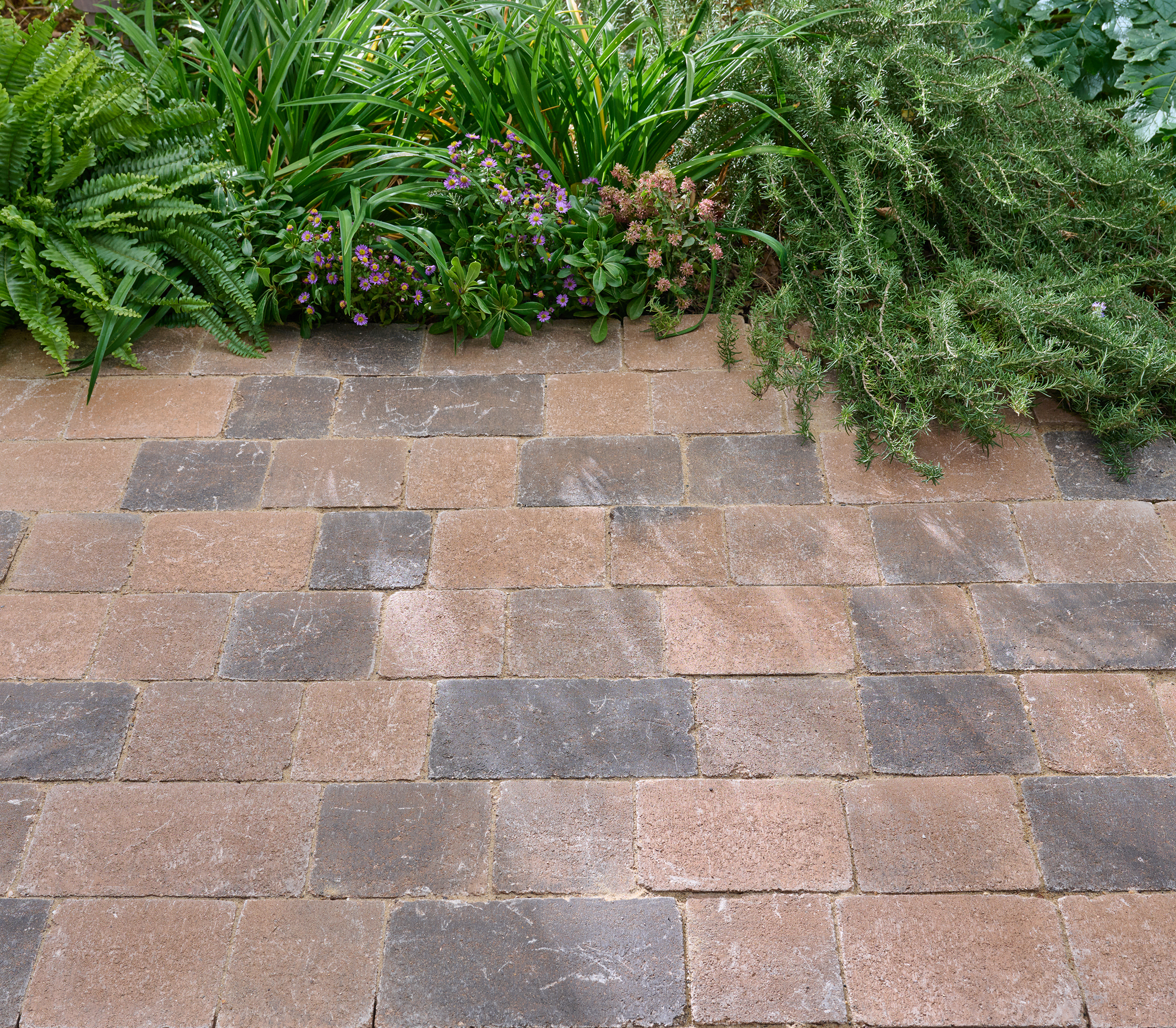Pavé béton vieilli