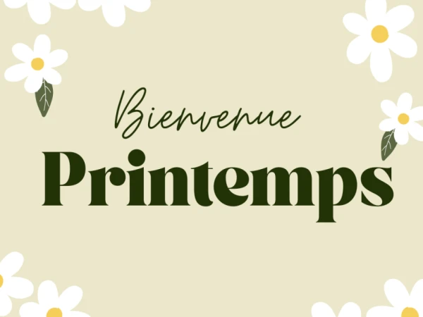 Réveillez votre extérieur : l'Entreprise Allée Créative vous accompagnent pour le printemps !