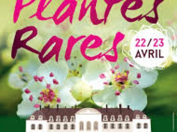 Foire aux plantes rares au Château de la Ferté