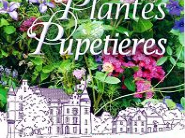 Journées des plantes au château de Pupetières