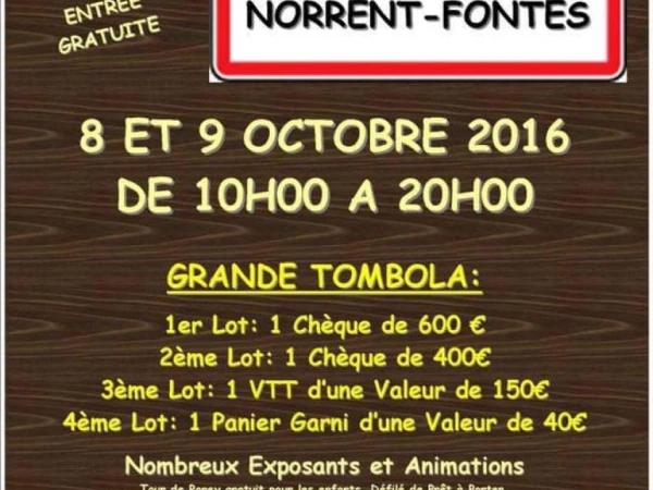 Foire commerciale de Norrent Fontes