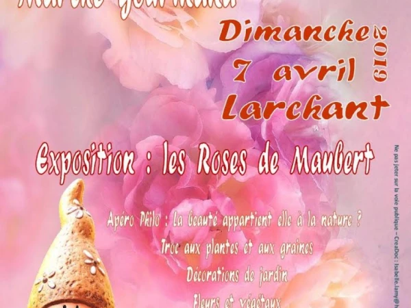 Fête des plantes Larchant 2019