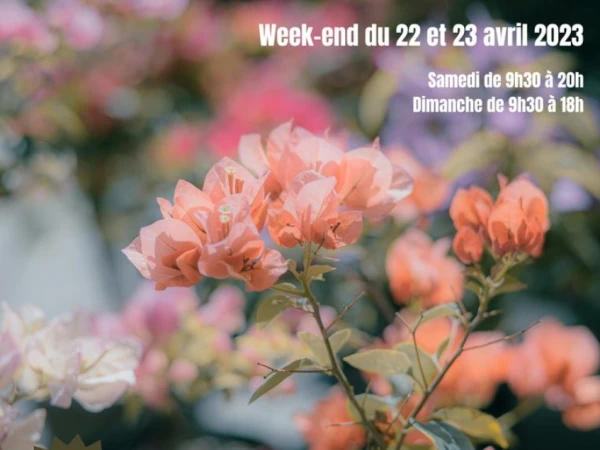 Foire Sainte Tulle 2023