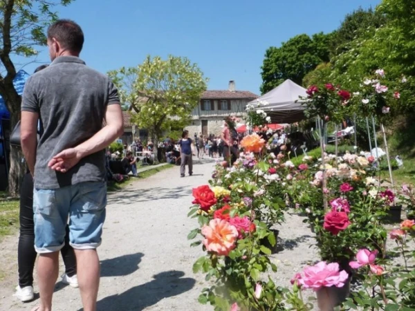 Marché au fleurs 2024